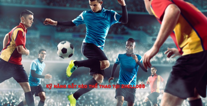 Kỹ năng bắt kèo thể thao 2Hello88